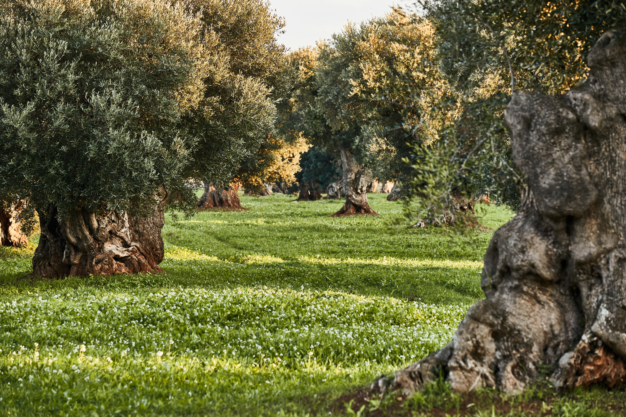 Політика конфіденційності постачальників