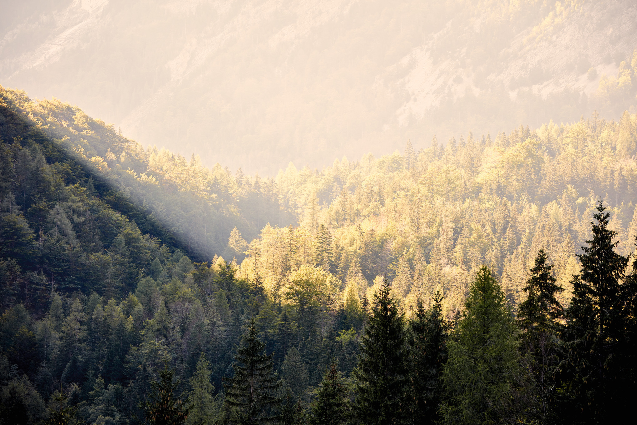 Торговельні компанії STIHL по всьому світу