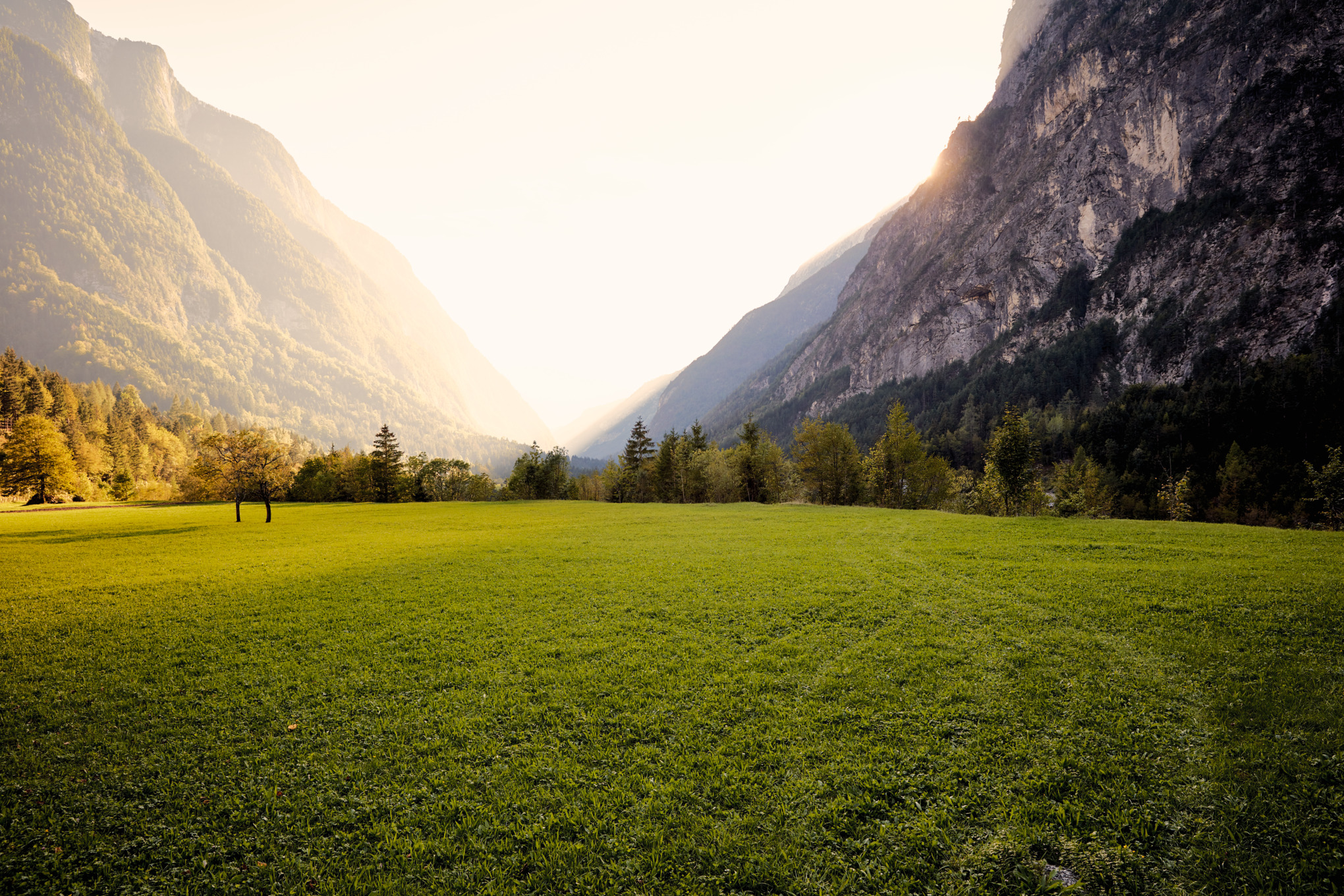Контакти для преси