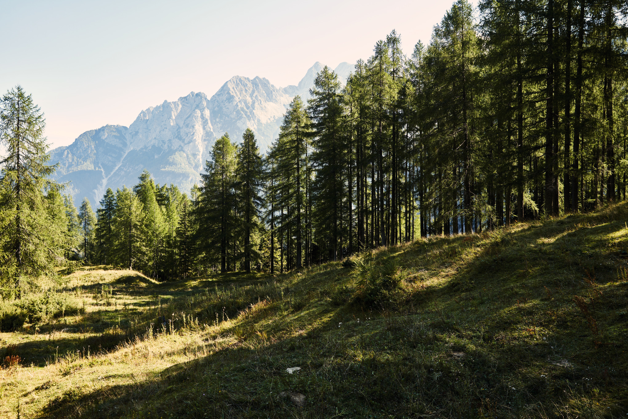 Інформація для преси