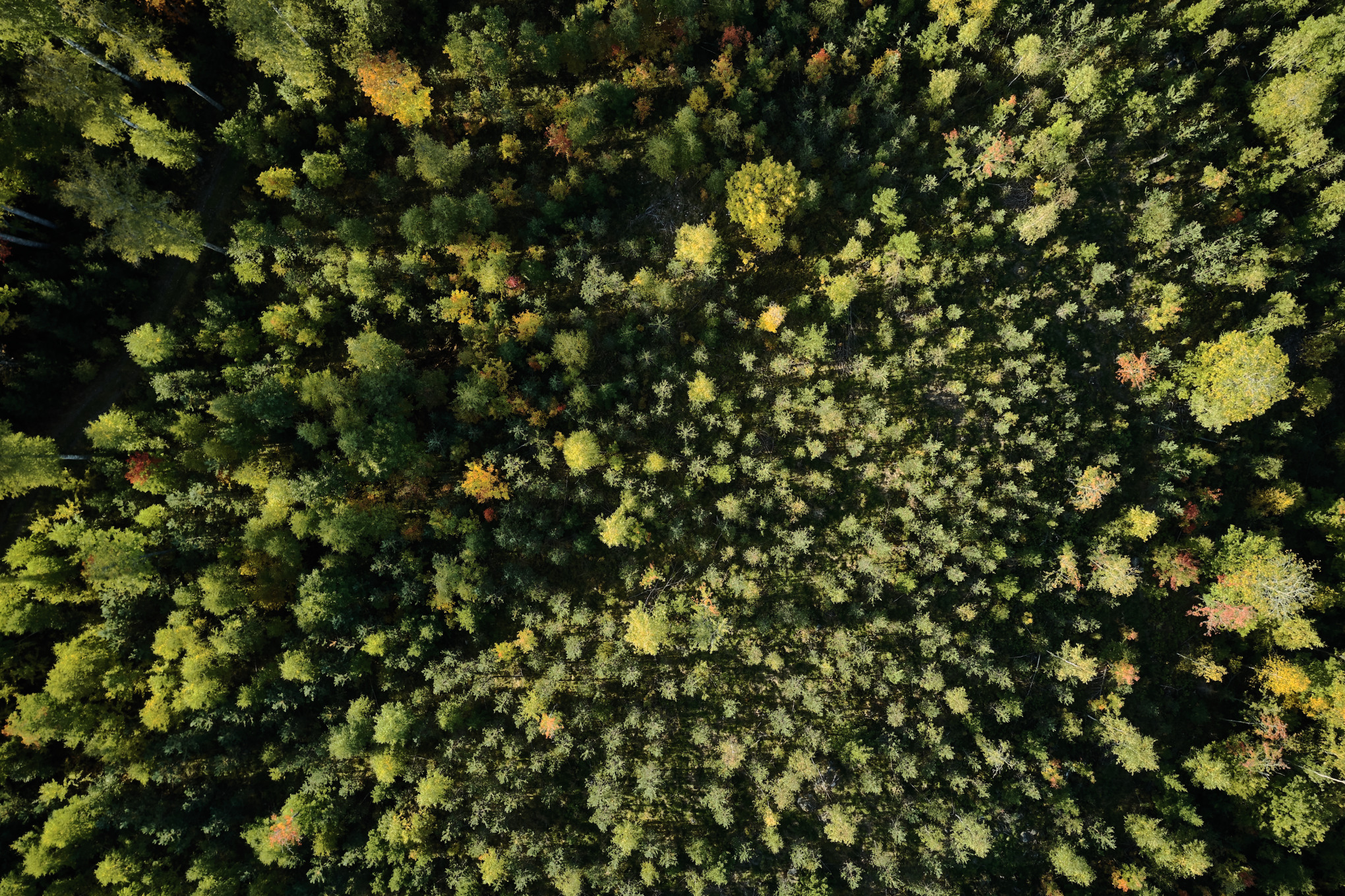 Наші цінності