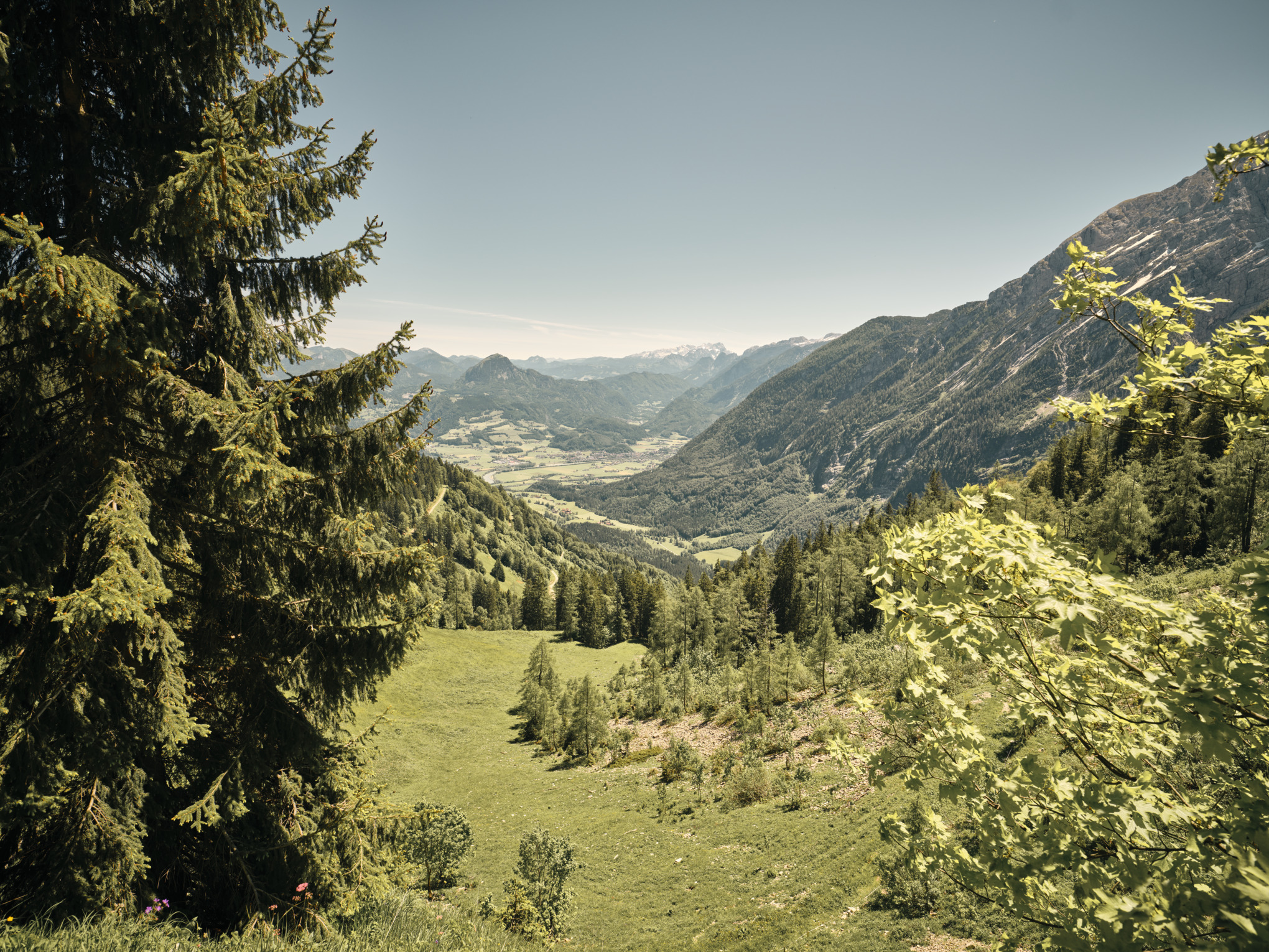 Звіт про сталий розвиток за 2021 рік