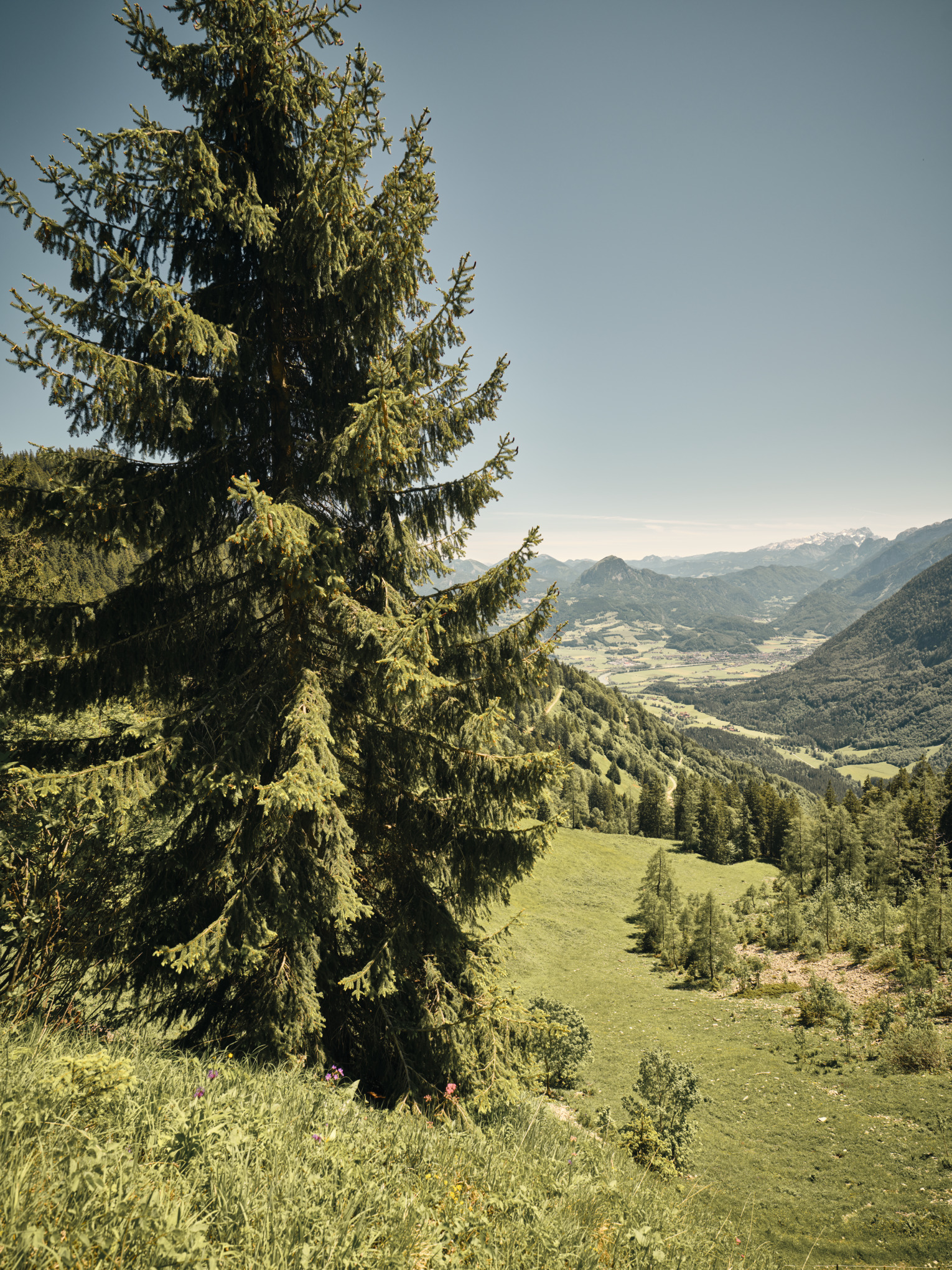 Стратегія сталого розвитку