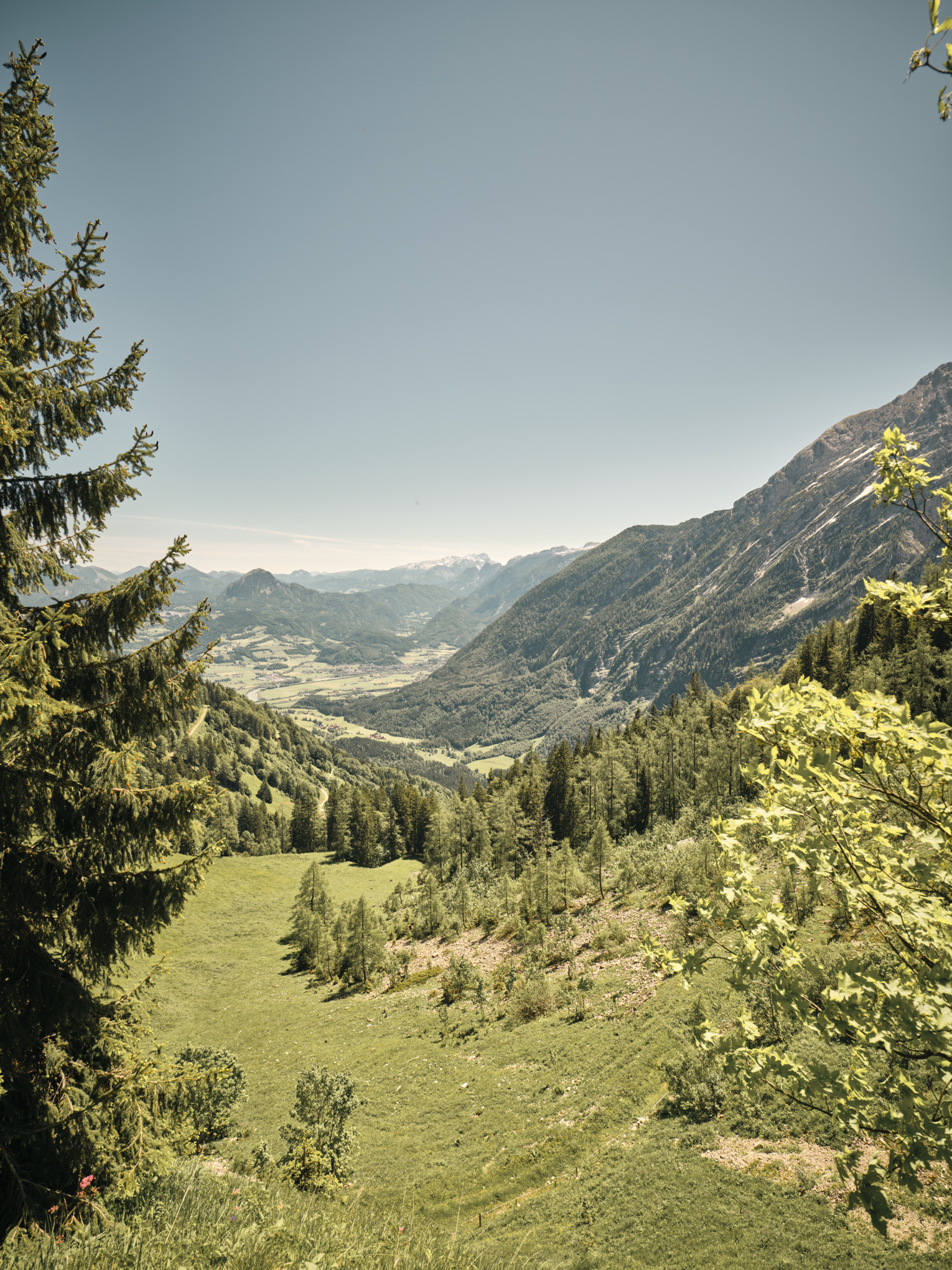 Звіт Stihl про сталий розвиток