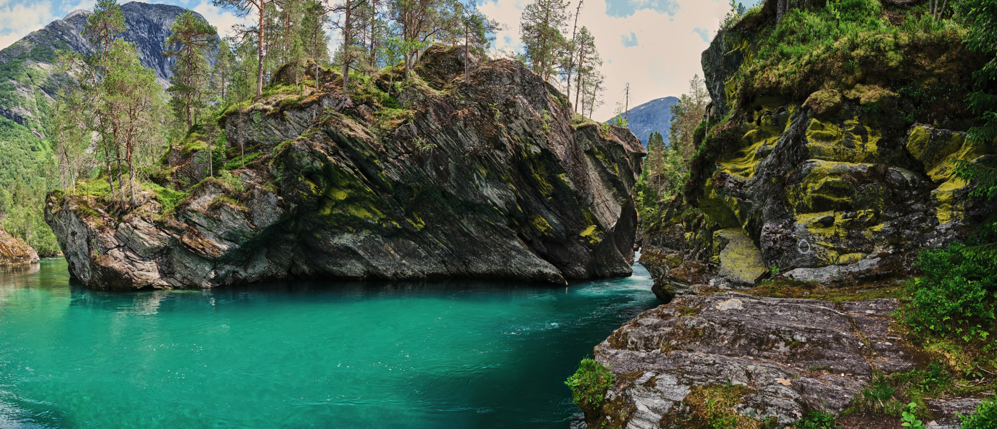 Торговельні компанії STIHL Австралія/Тихоокеанський регіон
