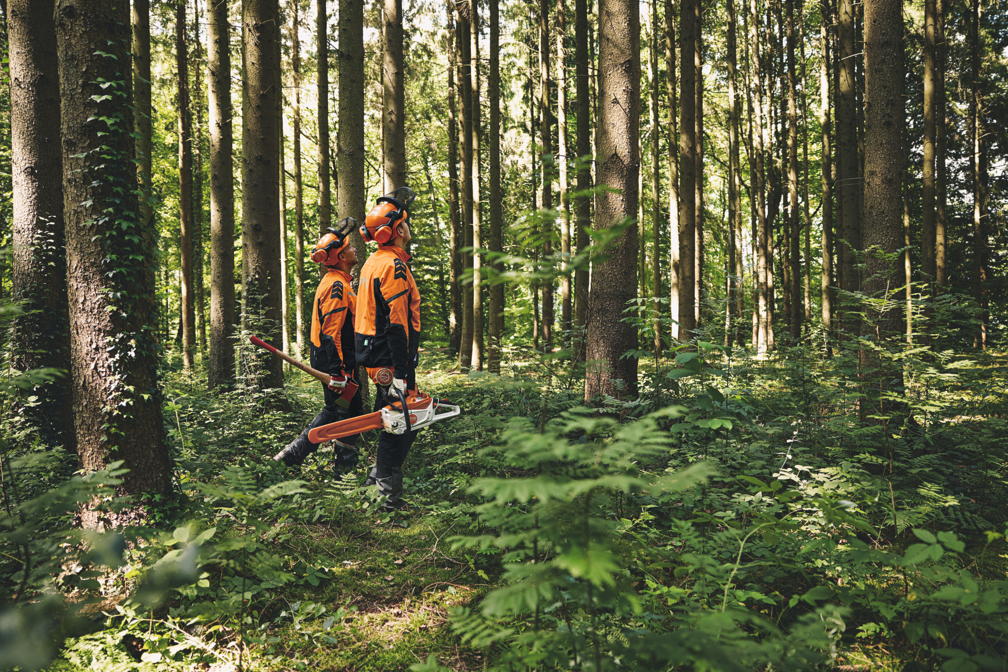 Історія продукту