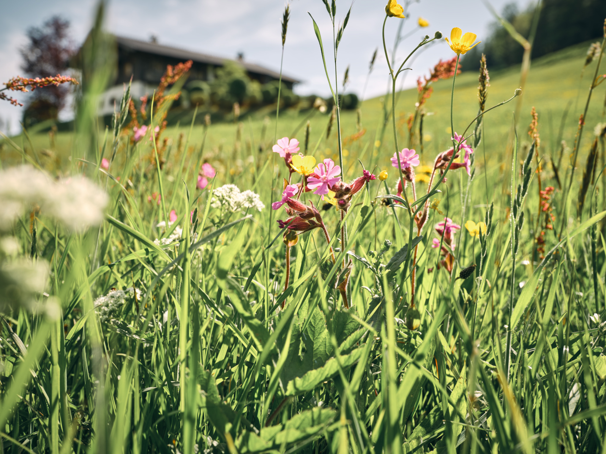 Навколишнє середовище