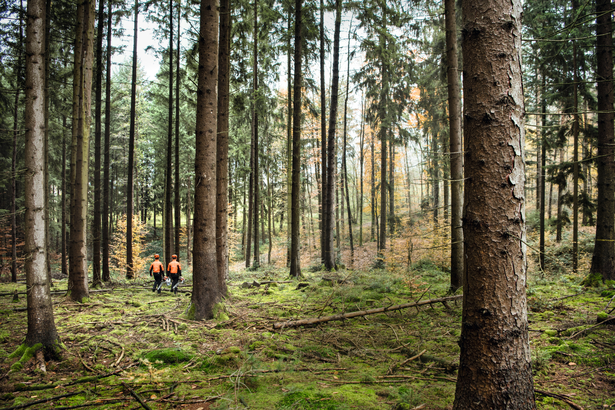 STIHL як компанія